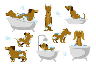 狗狗洗澡趣味插画
