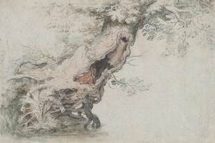 古木苍劲图