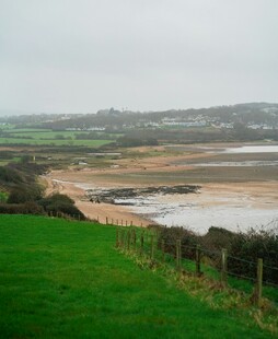 海岸边的翠绿草地与沙滩