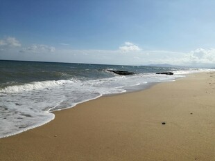 美丽海滨沙滩海浪风景