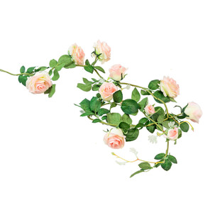 粉色蔷薇花枝装饰图
