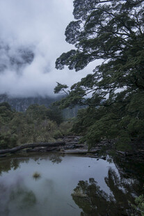 云雾缭绕的山林湖泊美景