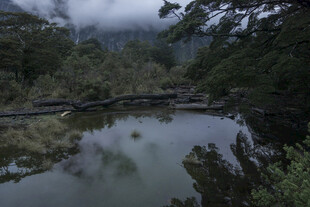 山间云雾缭绕的静谧小河