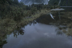 山间静谧溪流景观