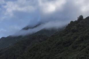 云雾缭绕的翠绿山峦