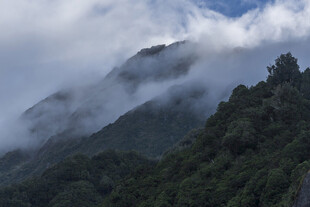 云雾缭绕的葱郁山峦