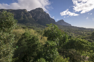 山峦绿意间的自然美景