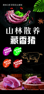 藏香猪 跑山猪