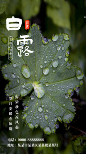白露节气 