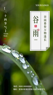 谷雨时节叶尖晶莹水珠