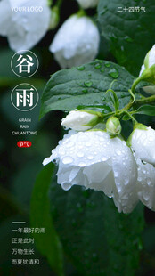 谷雨节气