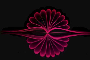 炫彩对称花朵图案