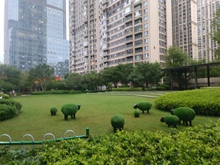 城市中的静谧绿地景观
