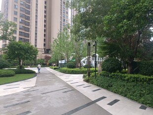 小区内整洁的林荫步道
