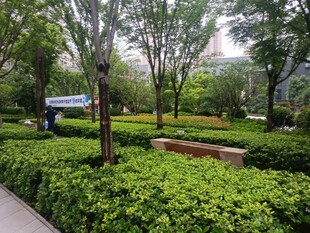 城市中的绿意盎然景观