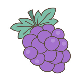 紫色葡萄插画