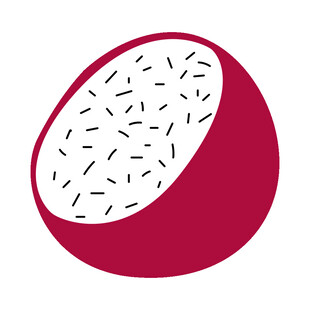 简约风火龙果图标设计