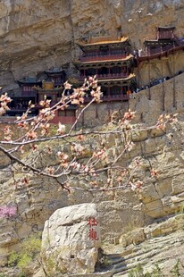 悬空寺绽春景