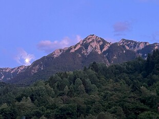 壮丽山峦与葱郁森林景观