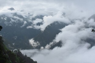 云雾缭绕的山间飞鸟景象