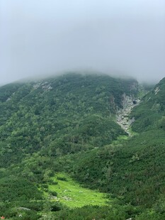 云雾缭绕的翠绿山谷景观