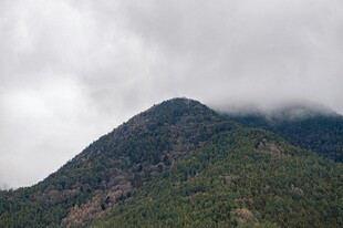 云雾缭绕的翠绿山峰