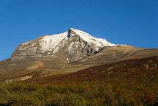 巍峨雪山下的葱郁植被