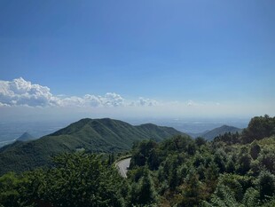 青山蓝天间的葱郁山林