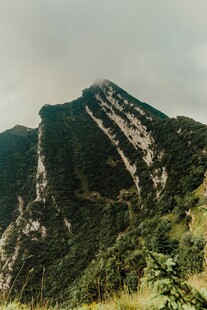 巍峨青山绿意浓