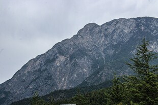 巍峨高山与葱郁树木景观