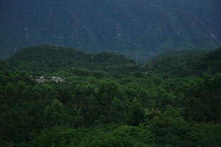 青山绿野间的静谧景致