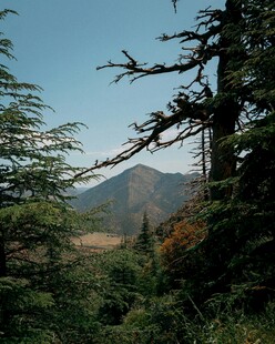 山林间的自然景致