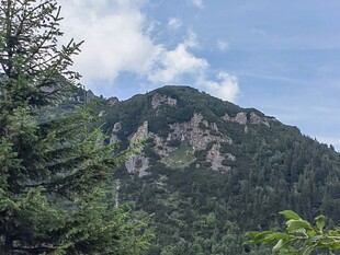 青山绿树间的秀丽山峰