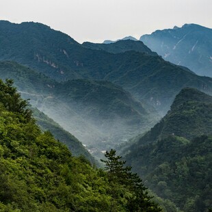 山间晨雾缭绕的秀丽景致