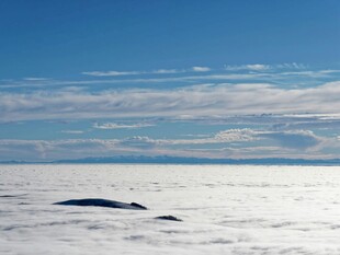 广阔冰原上的孤独黑影