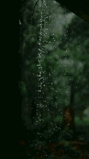 雨天滴落的雨滴