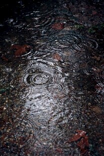 雨滴落积水形成美丽涟漪