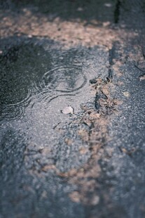 路面水洼中的落叶景象