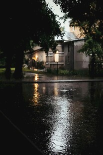 雨后街道的静谧倒影