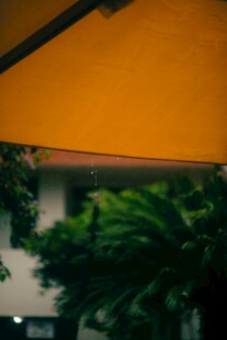 雨天黄伞
