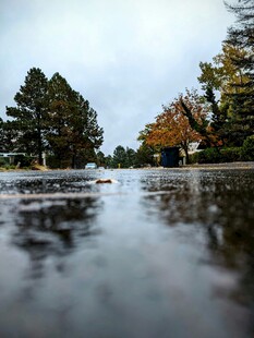 雨后积水映景的静谧道路