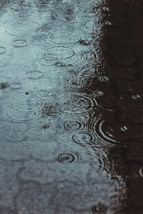雨滴落积水形成的涟漪