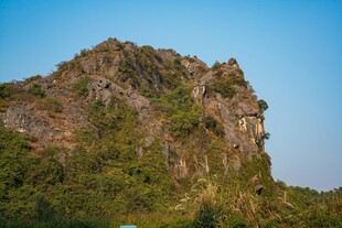 巍峨青山绿意浓