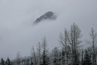 云雾缭绕中的山林雪景