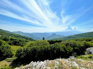 蓝天白云映绿野