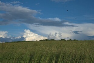 草原上空的壮丽云层景观