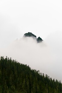 云雾缭绕中的山峦与森林