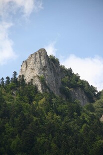 巍峨山峰覆绿植