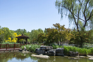 园林湖畔美景