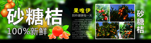 砂糖桔